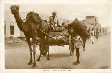 aden-1.bmp.jpg (66775 bytes)